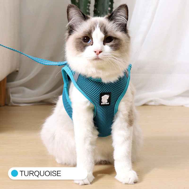 Anti-Strike Cat Harness - Sandwich Mesh Walker for All Cats Turquoise green