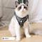 Anti-Strike Cat Harness - Sandwich Mesh Walker for All Cats Grey