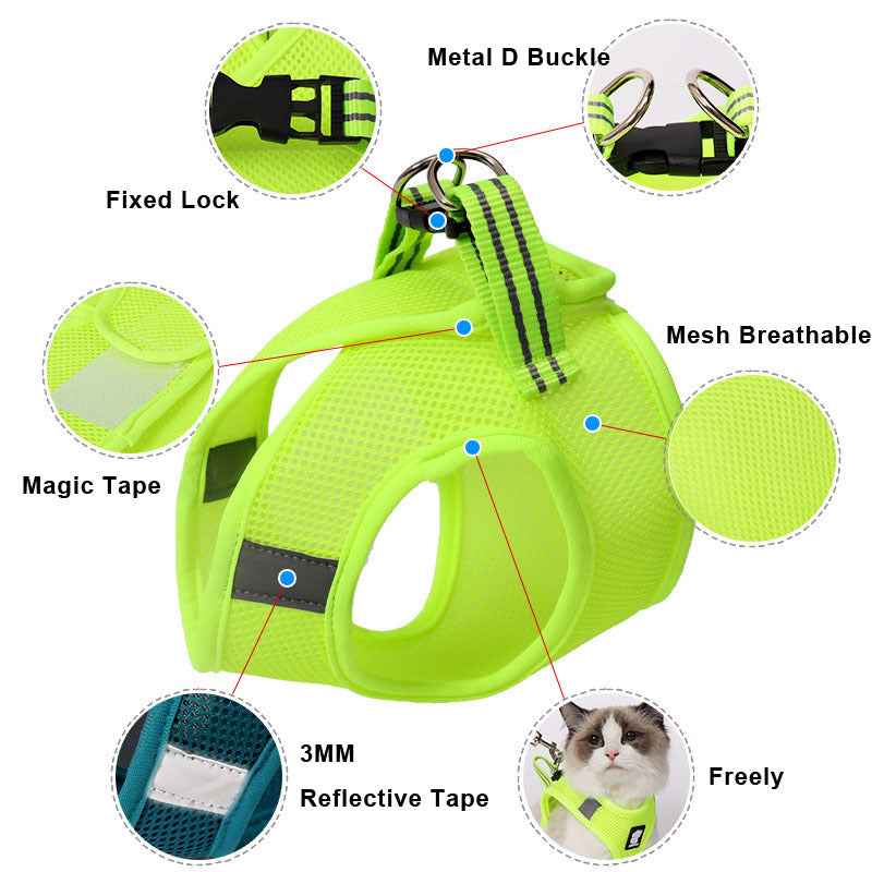 Anti-Strike Cat Harness - Sandwich Mesh Walker for All Cats