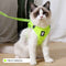 Anti-Strike Cat Harness - Sandwich Mesh Walker for All Cats Fruit green