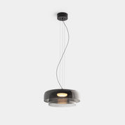 Ozone - Distinctive Pendant Light