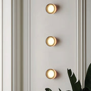 Vivid - Chic Illumination