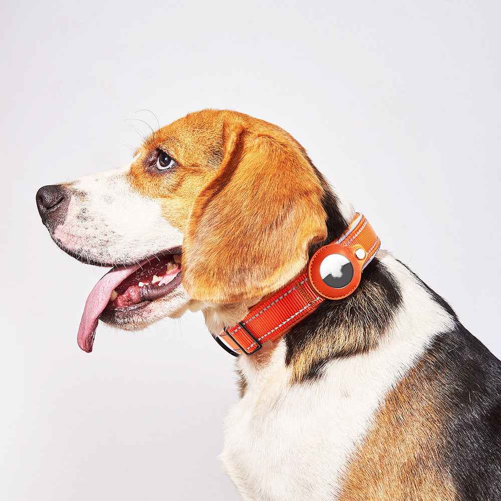 Airtag Pet Collar Tracker – Leather & Nylon Dog & Cat Locator