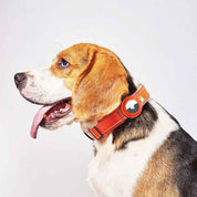 Airtag Pet Collar Tracker – Leather & Nylon Dog & Cat Locator