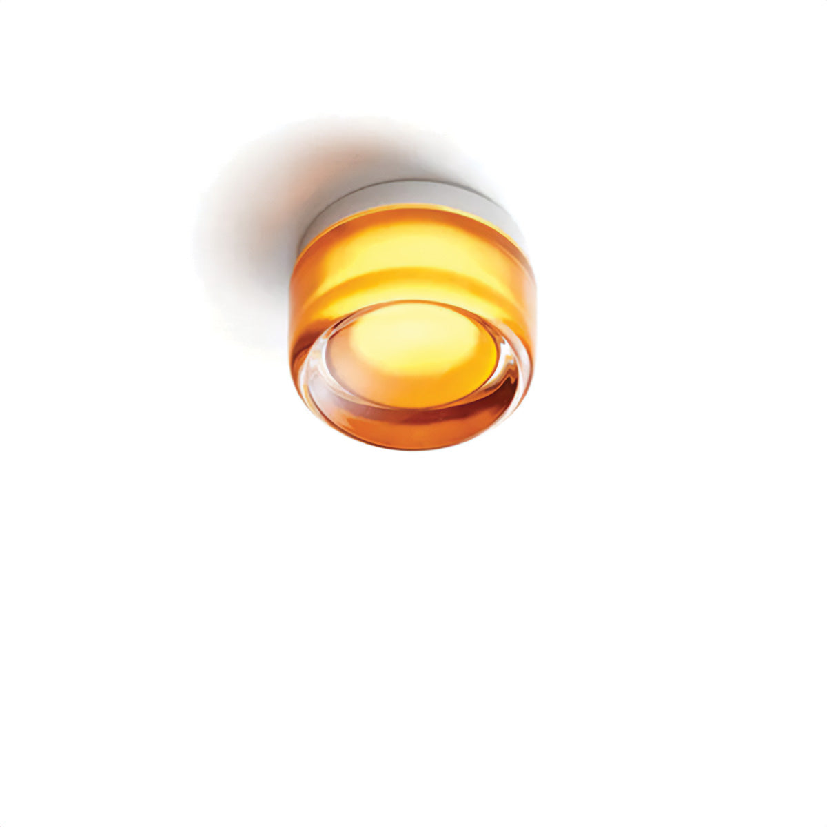 Vivid - Chic Illumination Amber