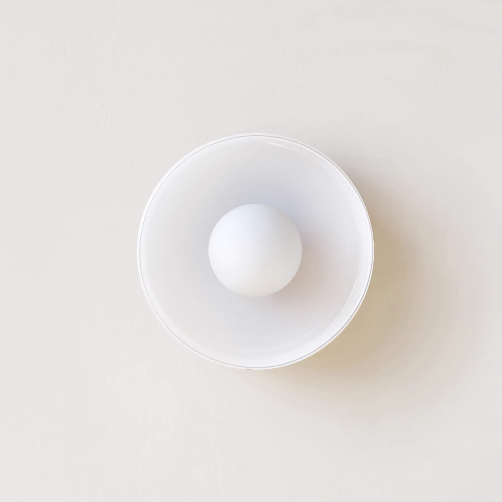 CircleLight Modern Ceiling Light